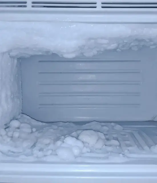 Excessive Frost Buildup (Defrosting Issues)