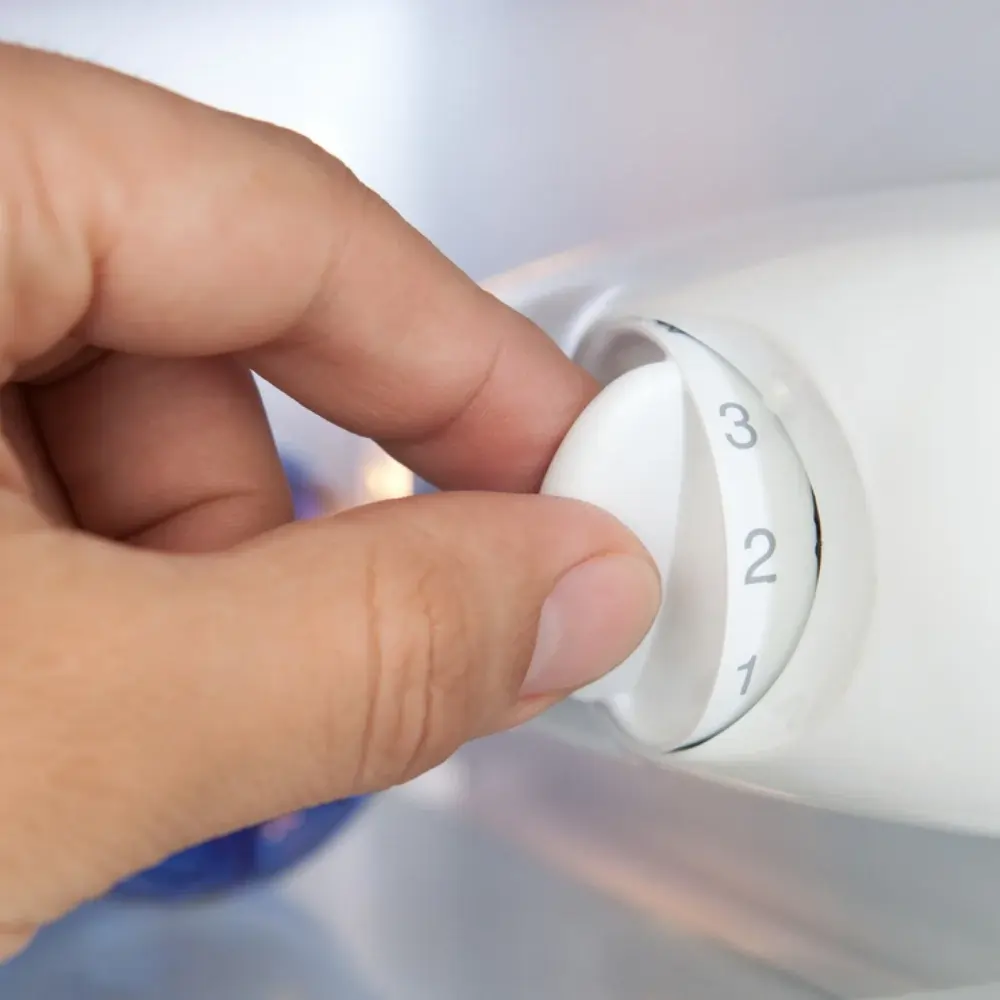 Freezer Temperature Control Problem