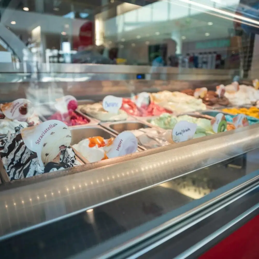 Ice Cream Freezer Repairing