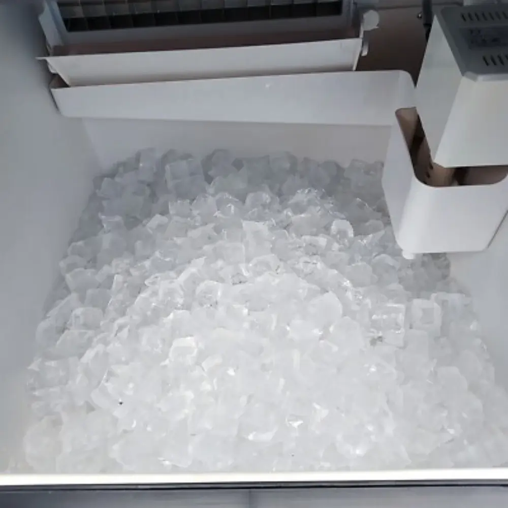 Getting Rid of Bad Ice Taste/Smell